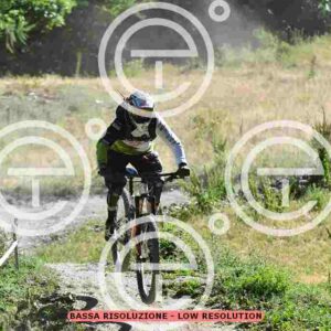 NIC_2383_tn