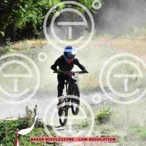 NIC_2413_tn