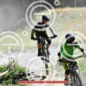 NIC_2511_tn