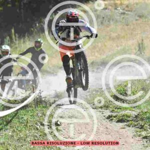NIC_2513_tn