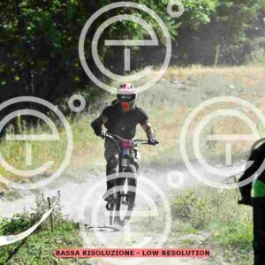 NIC_2574_tn