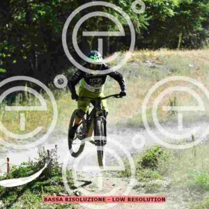 NIC_2579_tn