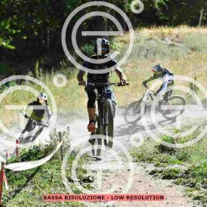 NIC_2582_tn