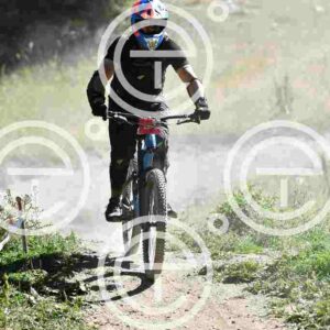NIC_2706_tn