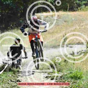 NIC_2743_tn