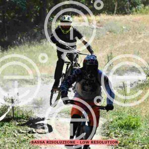 NIC_2745_tn