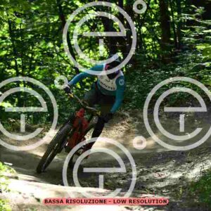 NIC_2844_tn