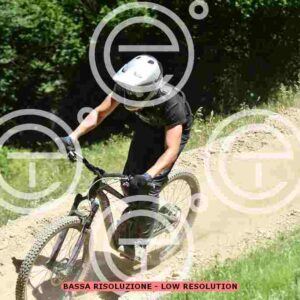 NIC_3004_tn