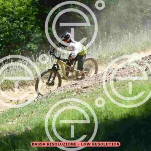 NIC_3059_tn
