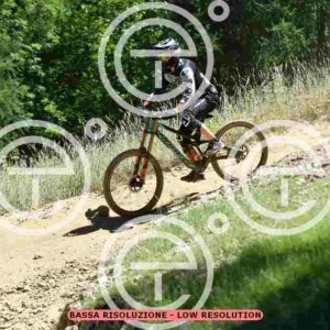 NIC_3081_tn