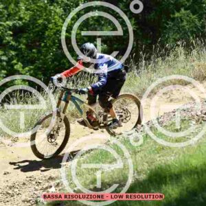 NIC_3085_tn