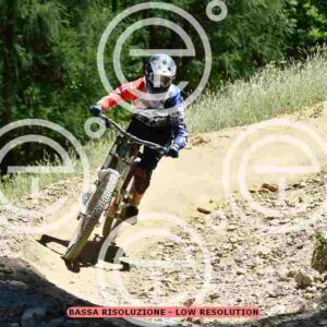 NIC_3087_tn