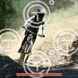 NIC_3095_tn