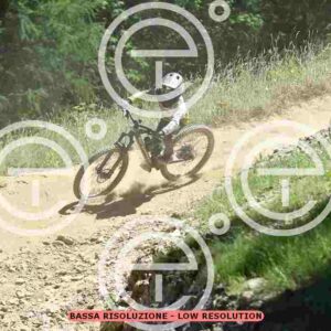 NIC_3109_tn