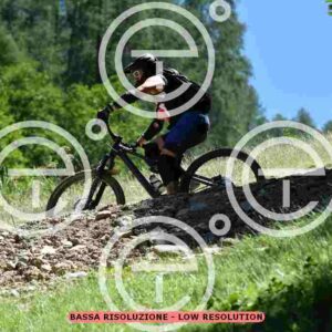 NIC_3114_tn