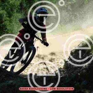 NIC_3146_tn