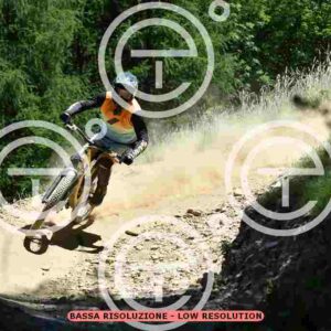 NIC_3165_tn