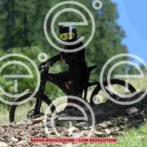 NIC_3181_tn