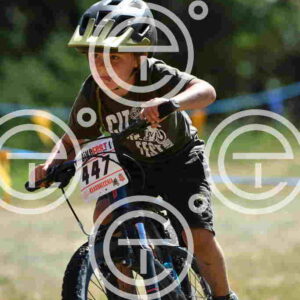 NIC_5114_tn