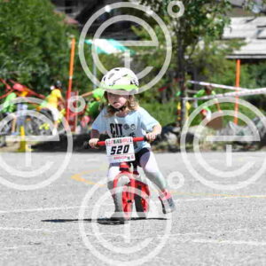NIC_5222_tn