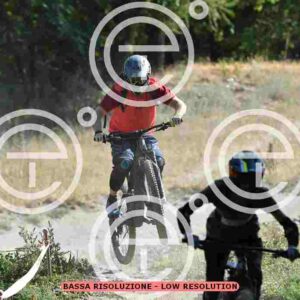 NIC_5646_tn