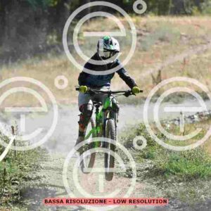NIC_5664_tn