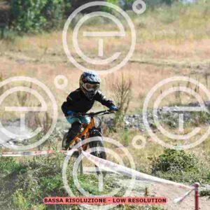 NIC_5679_tn