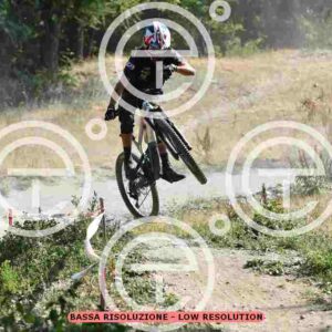 NIC_5712_tn