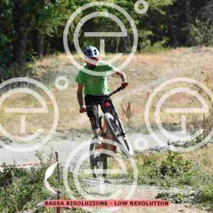 NIC_5735_tn