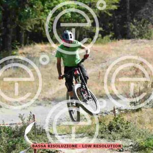 NIC_5736_tn