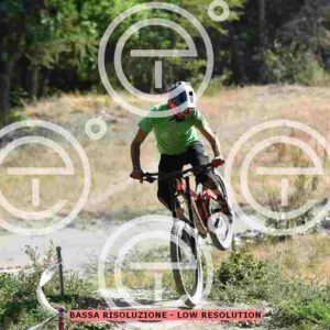 NIC_5738_tn