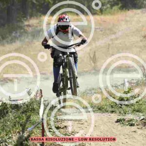 NIC_5790_tn