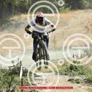 NIC_5791_tn