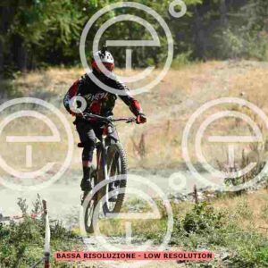 NIC_5809_tn