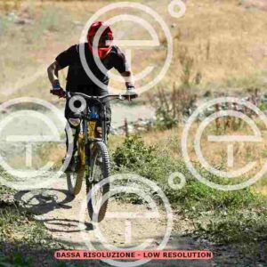NIC_5820_tn