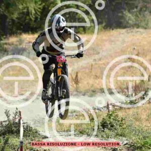 NIC_5822_tn