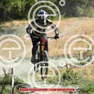 NIC_5823_tn
