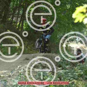 NIC_5846_tn