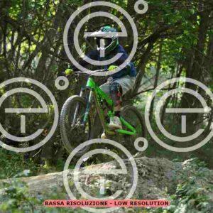 NIC_5912_tn