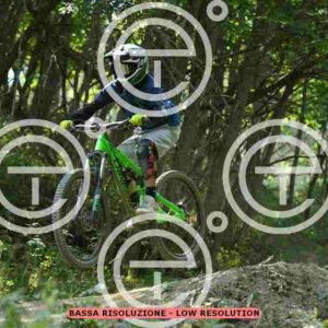 NIC_5913_tn