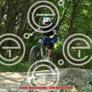 NIC_5930_tn