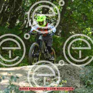 NIC_5937_tn
