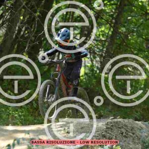 NIC_5940_tn