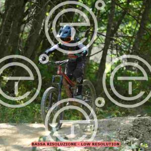 NIC_5941_tn