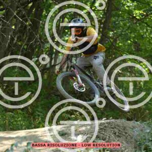 NIC_5950_tn
