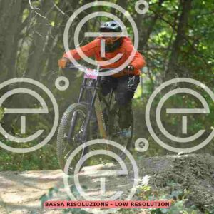 NIC_5958_tn