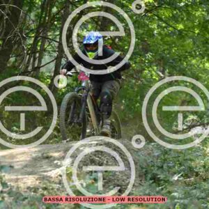 NIC_5972_tn