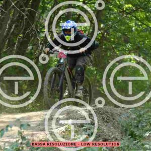 NIC_5973_tn
