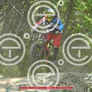 NIC_5985_tn
