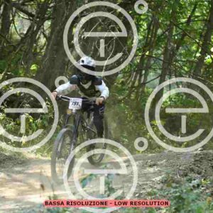 NIC_6008_tn